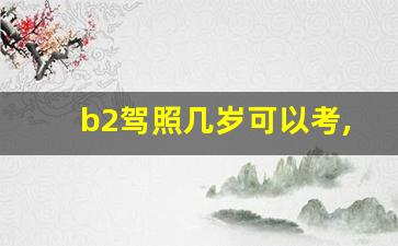 b2驾照几岁可以考,b2驾驶证年龄限制多少岁