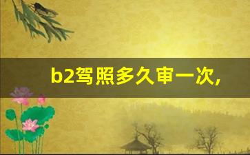 b2驾照多久审一次,b2审验是怎么审的