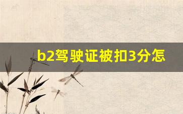 b2驾驶证被扣3分怎么消分,b2驾驶证扣分考试题答案