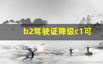 b2驾驶证降级c1可以异地办理吗,b2驾照自愿降级为c1后能恢复吗