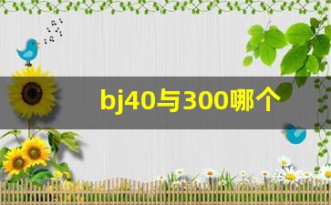 bj40与300哪个耐用,bj40怎么样值得购买吗