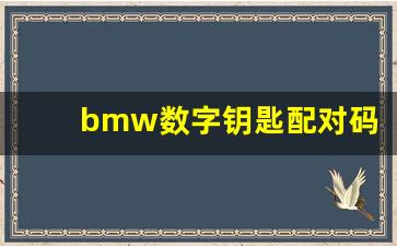 bmw数字钥匙配对码