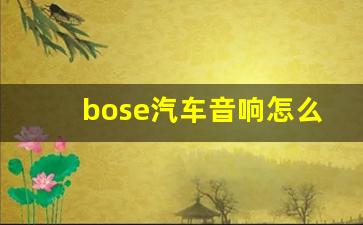 bose汽车音响怎么样