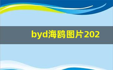 byd海鸥图片2023款,海鸥比亚迪2023款报价及图