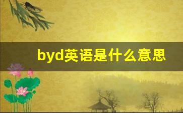 byd英语是什么意思