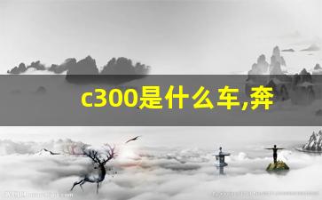 c300是什么车,奔驰c300什么时候出来的