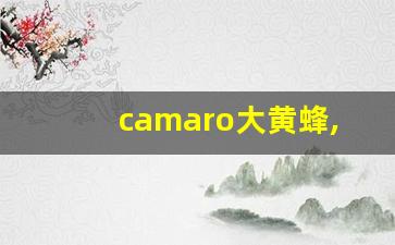 camaro大黄蜂,camaro是什么车