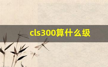 cls300算什么级别,奔驰cls属于c级还是S级