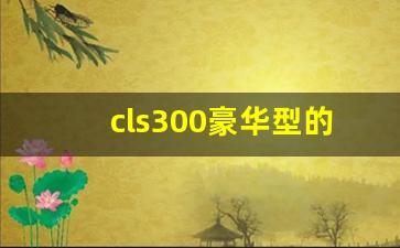 cls300豪华型的价格,奔驰s320报价多少钱