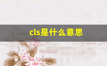 cls是什么意思