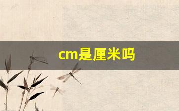 cm是厘米吗