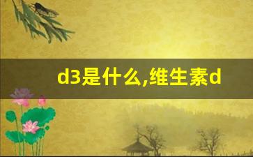 d3是什么,维生素d3的功效与主治及用法