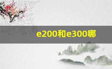 e200和e300哪个值得买,e200与e300有什么区别