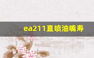 ea211直喷油嘴寿命,ea211和ea111的区别