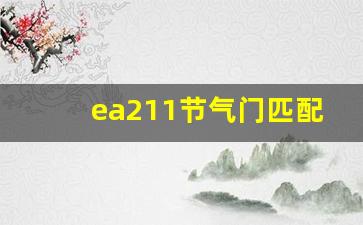 ea211节气门匹配方法,ea211正时皮带几年更换