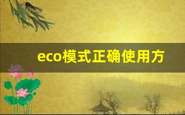 eco模式正确使用方法