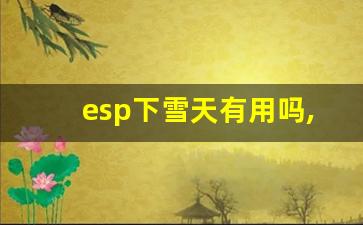 esp下雪天有用吗,上陡坡时可以关闭ESP吗