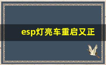 esp灯亮车重启又正常了