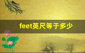 feet英尺等于多少inch