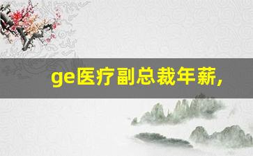 ge医疗副总裁年薪,ge工资待遇怎么样