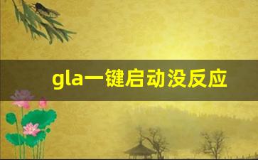 gla一键启动没反应