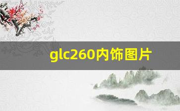 glc260内饰图片,glc260有必要上豪华吗