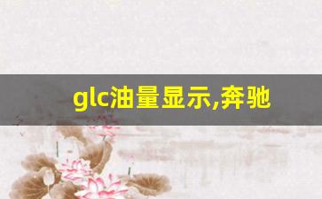 glc油量显示,奔驰glc260手机启动车