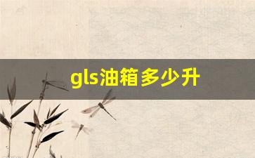 gls油箱多少升