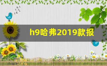 h9哈弗2019款报价图片