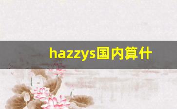 hazzys国内算什么档次