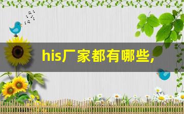 his厂家都有哪些,中国十大医疗信息化软件公司