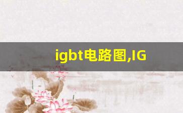 igbt电路图,IGBT制作鱼机电路图