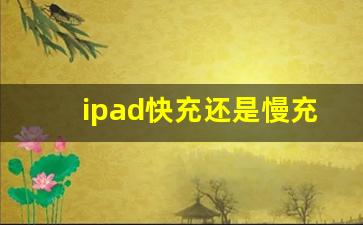 ipad快充还是慢充好