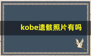 kobe遗骸照片有吗百度知道,科比遇难照骗