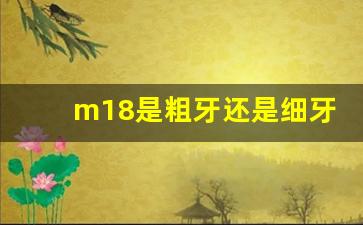 m18是粗牙还是细牙