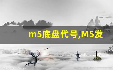 m5底盘代号,M5发动机代号