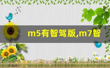 m5有智驾版,m7智驾版配置