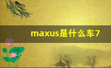 maxus是什么车7座多少钱,大通车7座图片