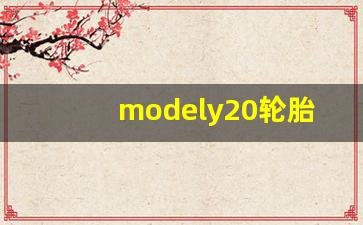 modely20轮胎参数