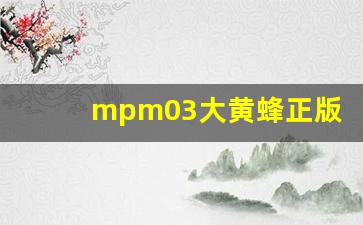 mpm03大黄蜂正版与ko,ko版mpm路障