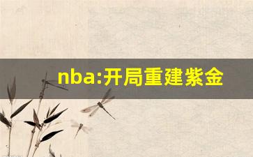 nba:开局重建紫金王朝,我在湖人当老板全本免费