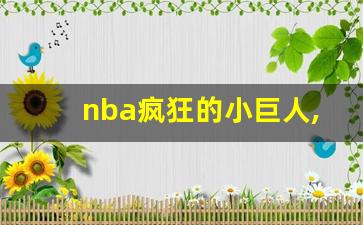 nba疯狂的小巨人,NBA之天赋强到爆