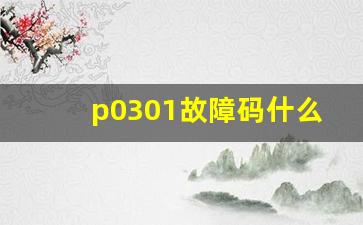 p0301故障码什么意思,p0301气缸1失火故障线路检查