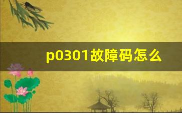 p0301故障码怎么解决,p0300故障码什么意思代表几缸