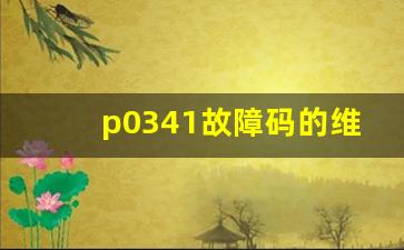 p0341故障码的维修方法,故障码p0341