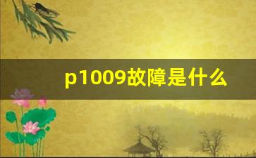 p1009故障是什么意思,本田P1009VTC正时提前故障