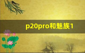 p20pro和魅族16s