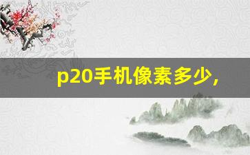 p20手机像素多少,华为p20像素不好怎么办