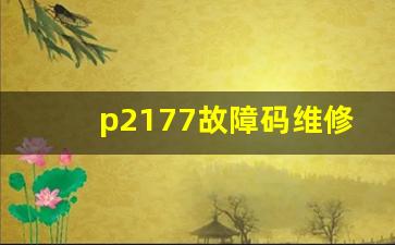 p2177故障码维修案例,P2177最佳维护技巧