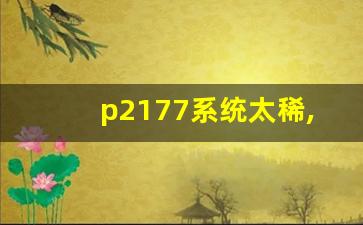 p2177系统太稀,p2096燃油系统过稀1排